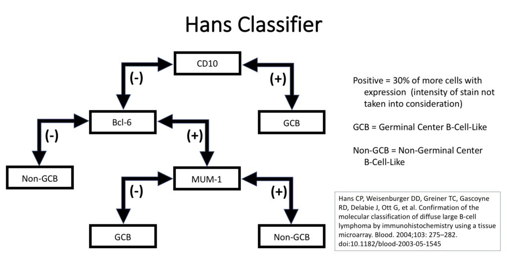 Hans Classifier - CD10, Bcl-6, MUM-1
